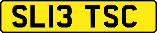 SL13TSC