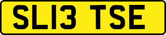 SL13TSE