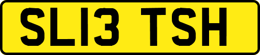 SL13TSH