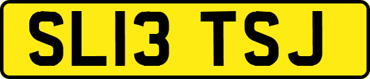SL13TSJ