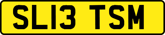 SL13TSM