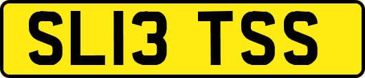 SL13TSS