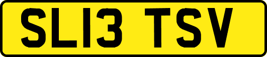 SL13TSV