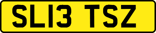SL13TSZ