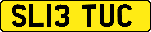 SL13TUC