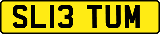 SL13TUM