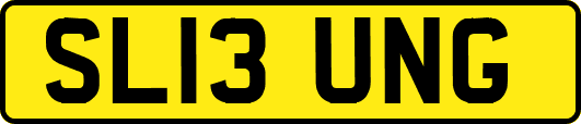 SL13UNG