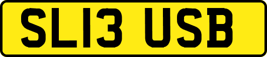 SL13USB