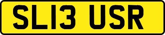 SL13USR
