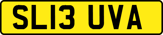 SL13UVA