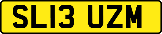 SL13UZM