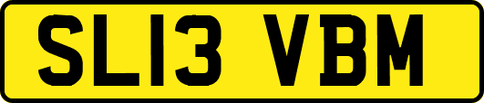 SL13VBM