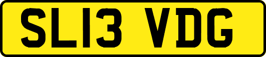 SL13VDG