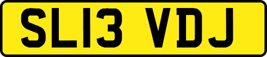 SL13VDJ