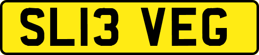 SL13VEG