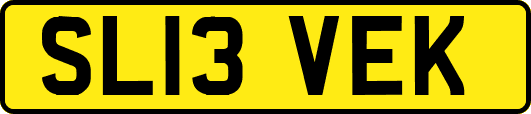 SL13VEK