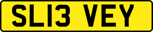 SL13VEY