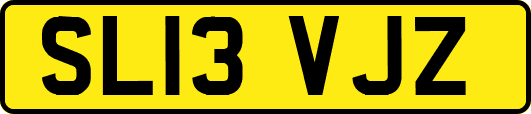 SL13VJZ
