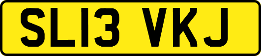 SL13VKJ