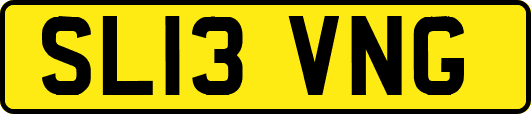 SL13VNG