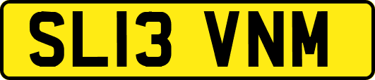 SL13VNM