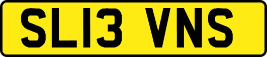 SL13VNS