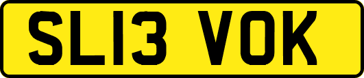 SL13VOK
