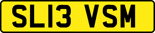 SL13VSM