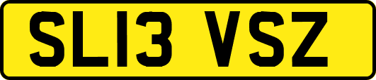 SL13VSZ