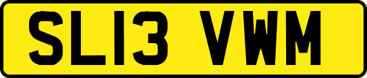 SL13VWM