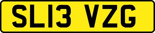 SL13VZG