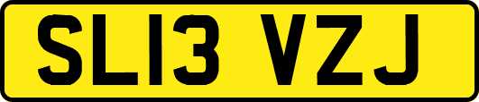 SL13VZJ