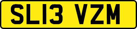 SL13VZM