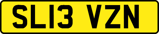 SL13VZN