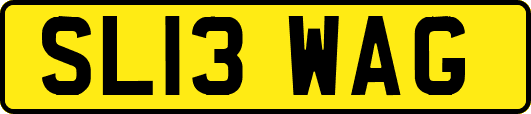 SL13WAG