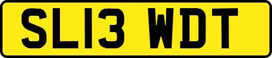 SL13WDT
