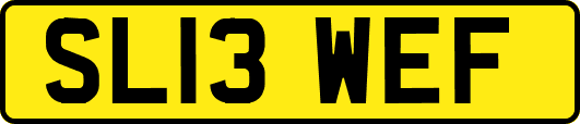 SL13WEF