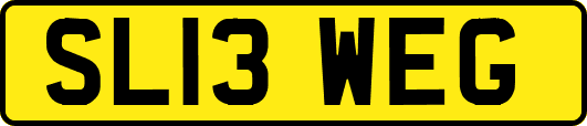 SL13WEG