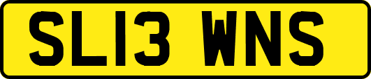 SL13WNS