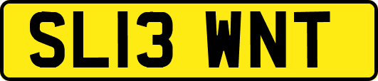 SL13WNT