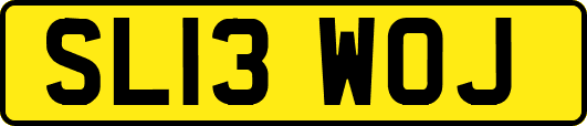 SL13WOJ
