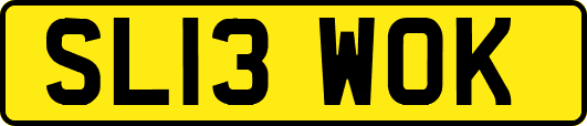 SL13WOK