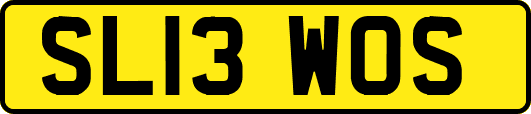 SL13WOS