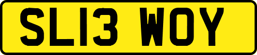 SL13WOY