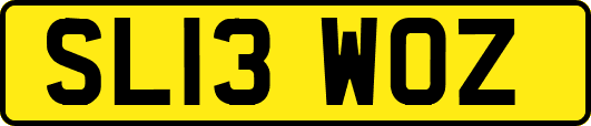 SL13WOZ