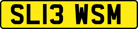 SL13WSM