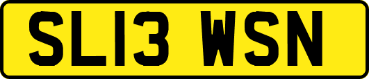 SL13WSN