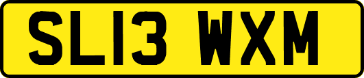 SL13WXM