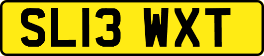 SL13WXT
