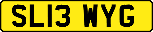 SL13WYG